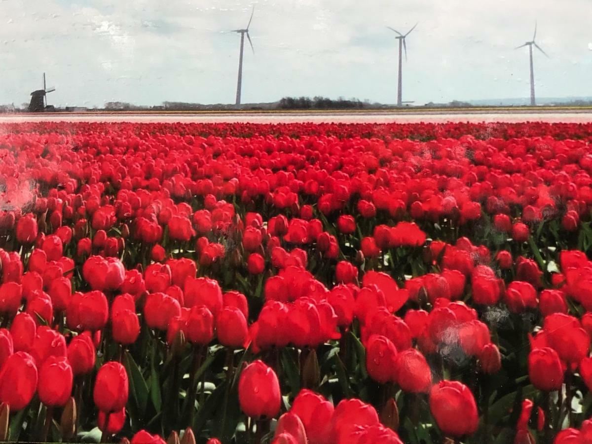 Vakantiehuis Aan Zee Sint Maartensvlotbrug Kültér fotó